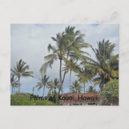 Postal Palmeras Hawaianas