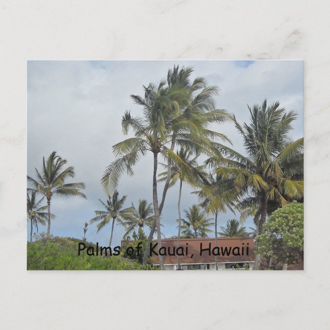 Postal Palmeras Hawaianas (Anverso)