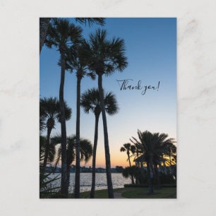 Postal Palmeras Sunrise Destin Florida Gracias Postcard