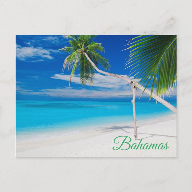 Postal Palmeras Tropical Blue Exotic Bahamas Beach Palms (Anverso)