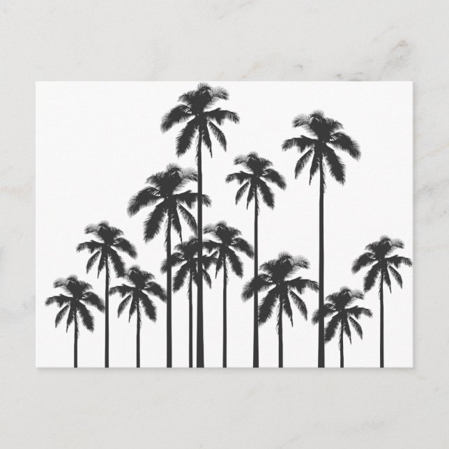 Postal Palmeras tropicales exóticas blancos y negros (Anverso)