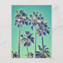 Postal Palmeras tropicales vintage