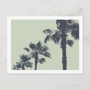 Postal Palmeras Vintage