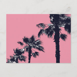 Postal Palmeras Vintage