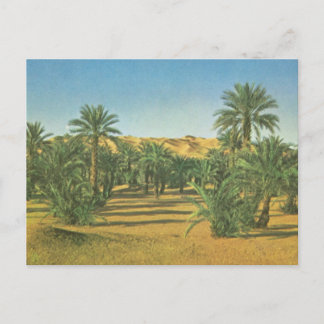 Postal Palmeras, Wadi el Adjal, Libia
