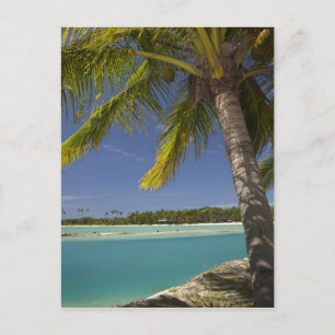 Postal Palmeras y laguna, Musket Cove Island Resort