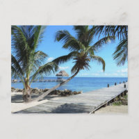 Palmeras y muelle en Belice