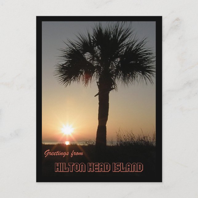 Postal Palmetto al amanecer (Anverso)