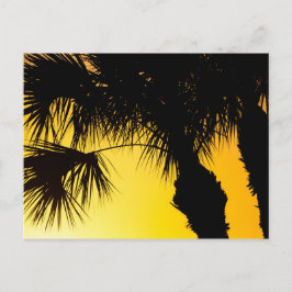 Postal Palmetto Tree Sunrise, Port St. Lucie, FL