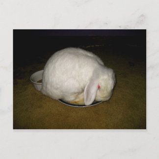 Postal palo en placa