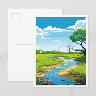 Postal Palo Verde ilustracion de Viaje de Costa Rica