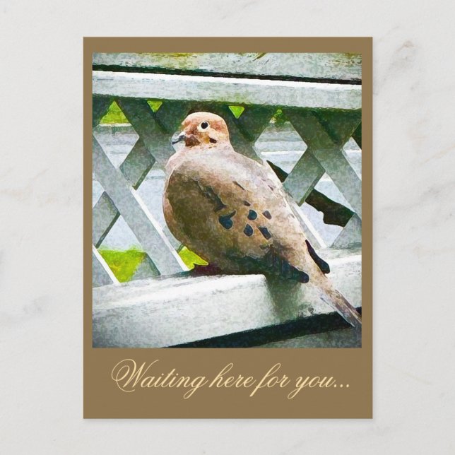 POSTAL "PALOMA" (Anverso)