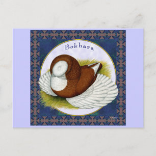 Postal Paloma De Bokhara En La Ronda