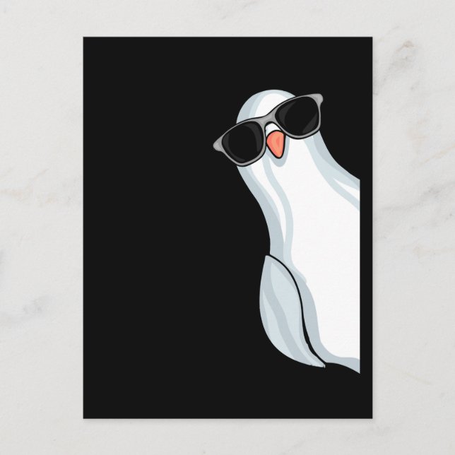 Postal Paloma de Carreras de paloma blanca (Anverso)