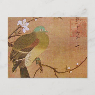 Postal Paloma en una rama de yegua