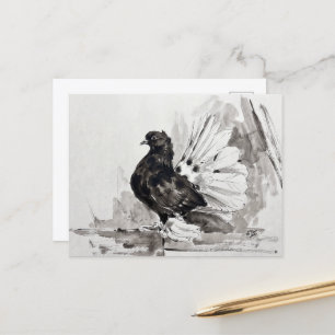 Postal Paloma Indian Fantail Eyeliner Gallina