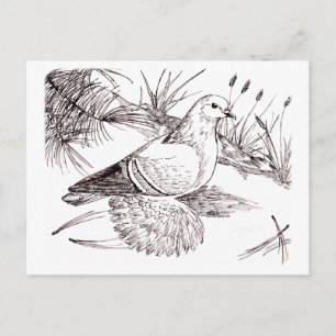 Postal Paloma sajona