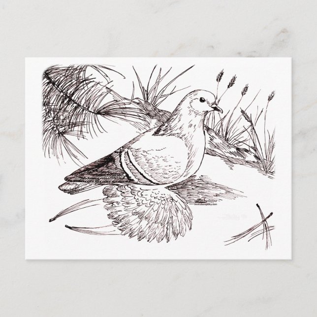 Postal Paloma sajona (Anverso)