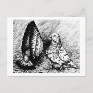 Postal Palomas de Roller