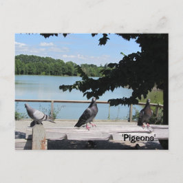 Postal Palomas elegantes