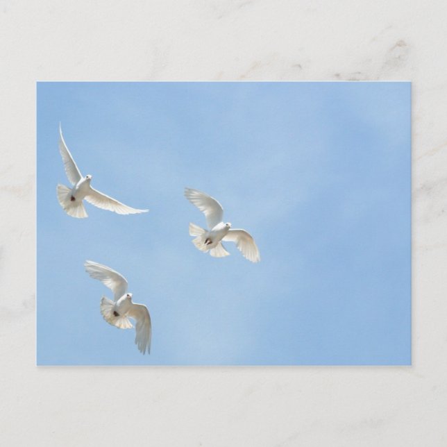 Postal Palomas voladoras (Anverso)