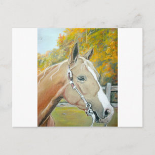Postal Palomino, caballo pastel