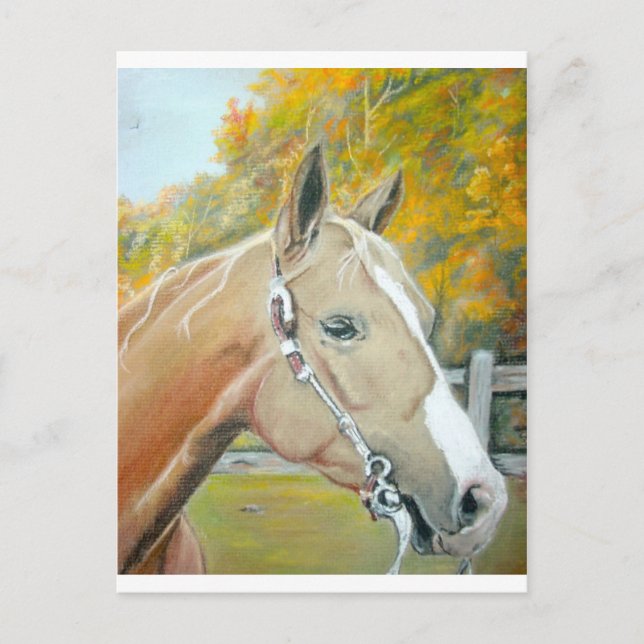 Postal Palomino, Caballo pastel (Anverso)