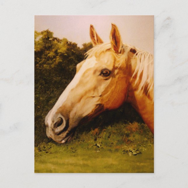 Postal Palomino Horse Art (Anverso)