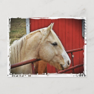 Postal Palomino Horse Red Barn