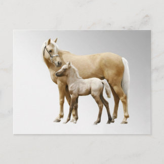 Postal Palomino Mare & Foal