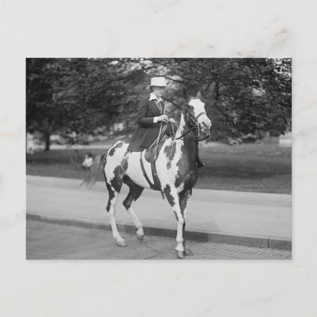 Postal Palomino Pony, 1915 (Anverso)