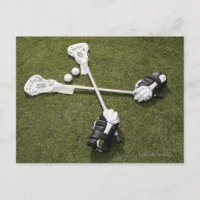 Palos, guantes y bolas de lacrosse en artificiales