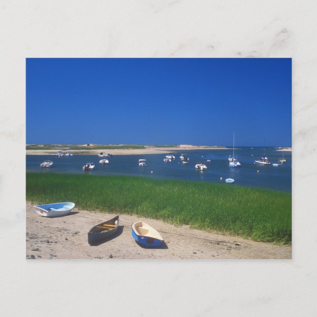 Postal Pamet Harbour Truro Cape Cod (Anverso)