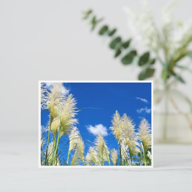 Postal Pampas Grass (Anverso de pie)