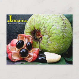 Postal Pan jamaiquino y fruta ackee 2k17