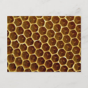 Postal Panal de cera de abeja