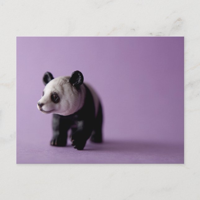 Postal Panda (Anverso)