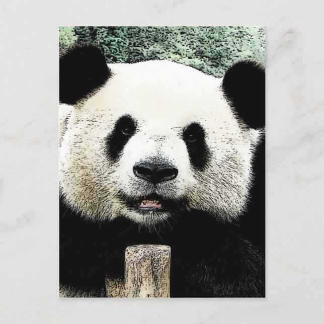 Postal Panda (Anverso)