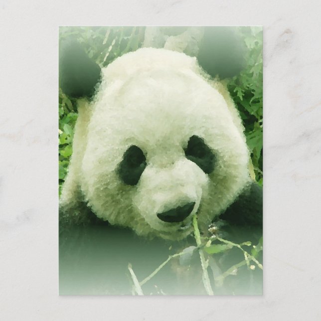 Postal Panda (Anverso)