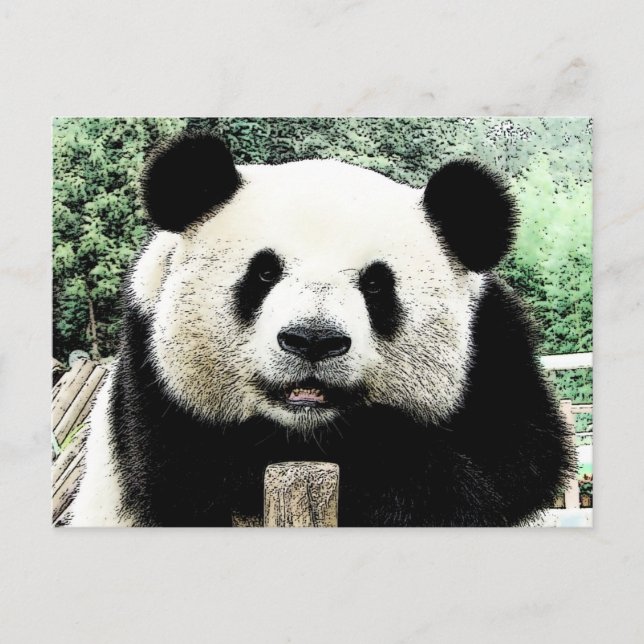 Postal Panda (Anverso)