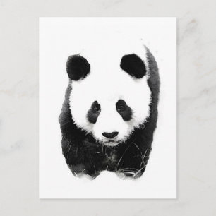 Postal Panda