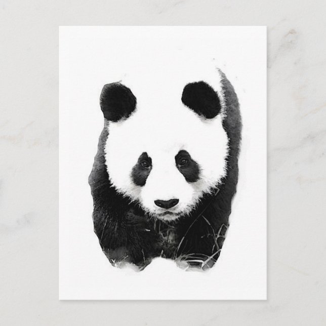 Postal Panda (Anverso)