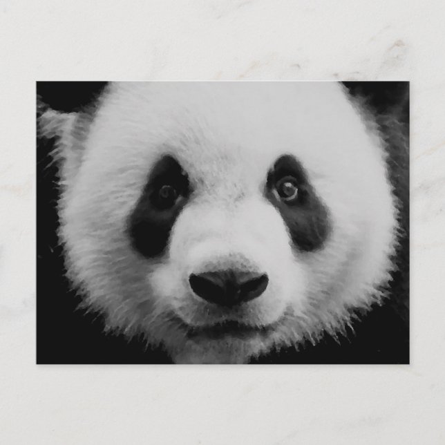 Postal Panda (Anverso)