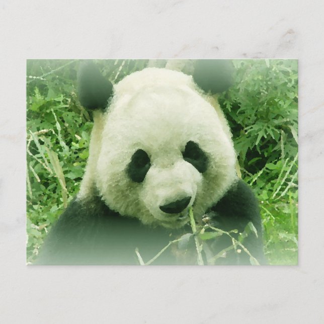 Postal Panda (Anverso)