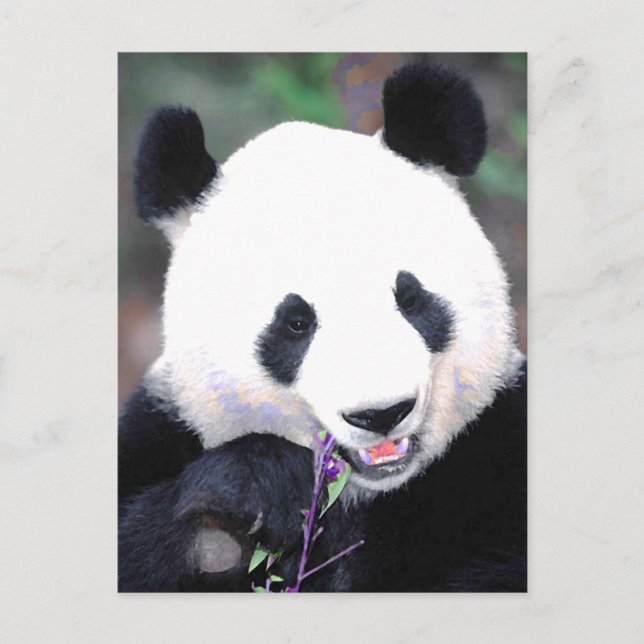 Postal Panda (Anverso)