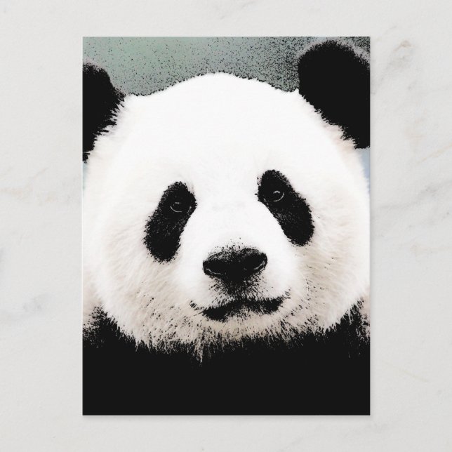 Postal Panda (Anverso)