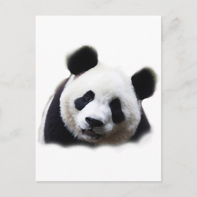 Postal Panda (Anverso)