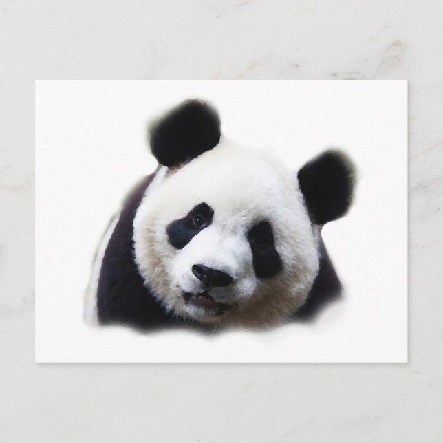Postal Panda (Anverso)