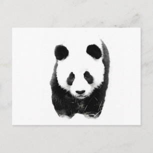 Postal Panda