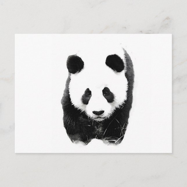 Postal Panda (Anverso)
